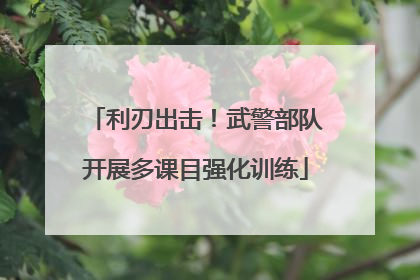 利刃出击！武警部队开展多课目强化训练