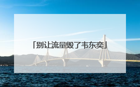 别让流量毁了韦东奕