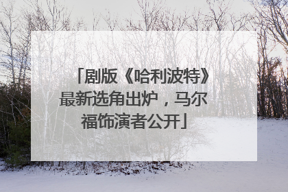 剧版《哈利波特》最新选角出炉，马尔福饰演者公开