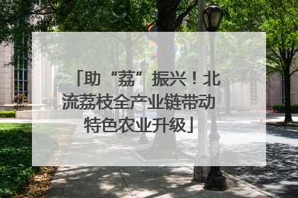 助“荔”振兴！北流荔枝全产业链带动特色农业升级