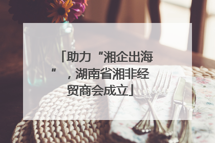 助力“湘企出海”，湖南省湘非经贸商会成立