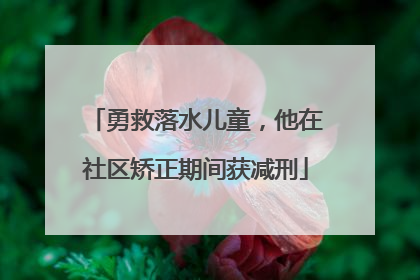勇救落水儿童，他在社区矫正期间获减刑