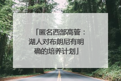 匿名西部高管：湖人对布朗尼有明确的培养计划