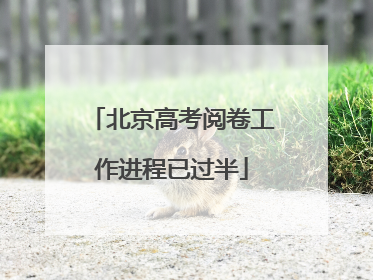 北京高考阅卷工作进程已过半