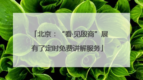 北京：“看·见殷商”展有了定时免费讲解服务
