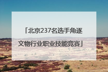 北京237名选手角逐文物行业职业技能竞赛