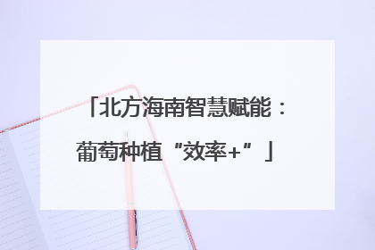 北方海南智慧赋能：葡萄种植“效率+”