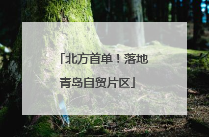 北方首单！落地青岛自贸片区