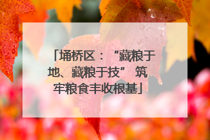埇桥区：“藏粮于地、藏粮于技” 筑牢粮食丰收根基