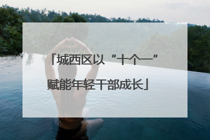 城西区以“十个一”赋能年轻干部成长