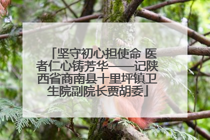 坚守初心担使命 医者仁心铸芳华——记陕西省商南县十里坪镇卫生院副院长贾胡委