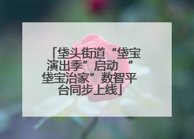 垡头街道“垡宝演出季”启动 “垡宝治家”数智平台同步上线