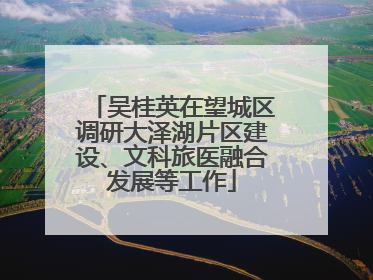 吴桂英在望城区调研大泽湖片区建设、文科旅医融合发展等工作