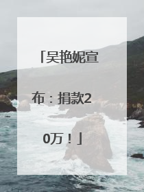 吴艳妮宣布：捐款20万！
