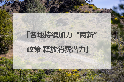 各地持续加力“两新”政策 释放消费潜力