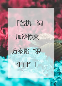 各执一词 加沙停火方案陷“罗生门”