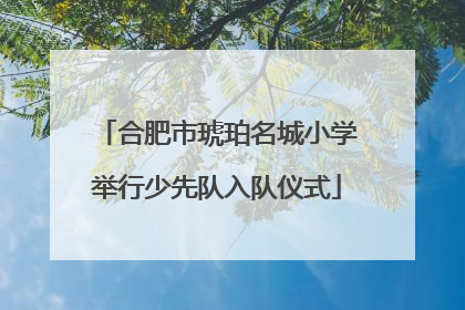 合肥市琥珀名城小学举行少先队入队仪式