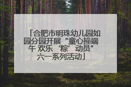 合肥市明珠幼儿园如园分园开展“童心撞端午 欢乐‘粽’动员”六一系列活动