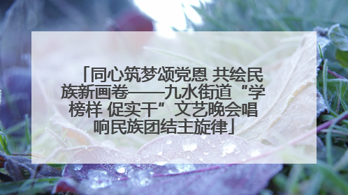 同心筑梦颂党恩 共绘民族新画卷——九水街道“学榜样 促实干”文艺晚会唱响民族团结主旋律