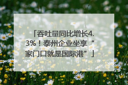 吞吐量同比增长4.3%！泰州企业坐享“家门口就是国际港”