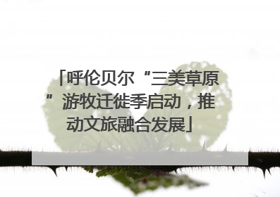 呼伦贝尔“三美草原”游牧迁徙季启动，推动文旅融合发展