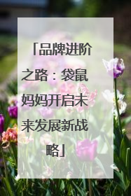 品牌进阶之路：袋鼠妈妈开启未来发展新战略