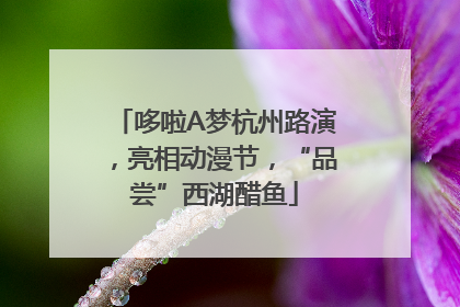 哆啦A梦杭州路演，亮相动漫节，“品尝”西湖醋鱼