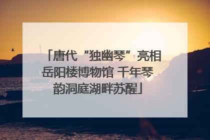 唐代“独幽琴”亮相岳阳楼博物馆 千年琴韵洞庭湖畔苏醒