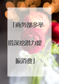 商务部多举措深挖潜力提振消费