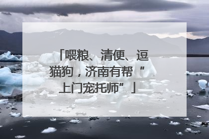 喂粮、清便、逗猫狗，济南有帮“上门宠托师”