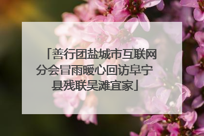 善行团盐城市互联网分会冒雨暖心回访阜宁县残联吴滩宜家