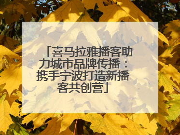 喜马拉雅播客助力城市品牌传播：携手宁波打造新播客共创营