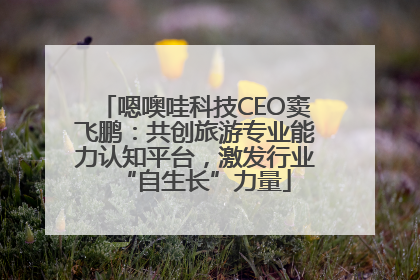 嗯噢哇科技CEO窦飞鹏：共创旅游专业能力认知平台，激发行业“自生长”力量