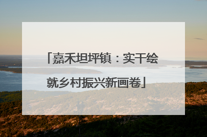 嘉禾坦坪镇：实干绘就乡村振兴新画卷