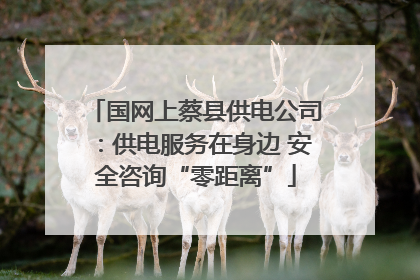 国网上蔡县供电公司：供电服务在身边 安全咨询“零距离”