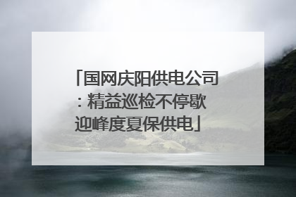 国网庆阳供电公司：精益巡检不停歇 迎峰度夏保供电
