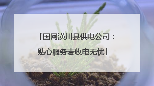 国网潢川县供电公司：贴心服务麦收电无忧