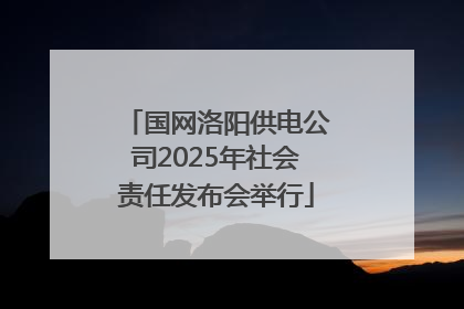国网洛阳供电公司2025年社会责任发布会举行