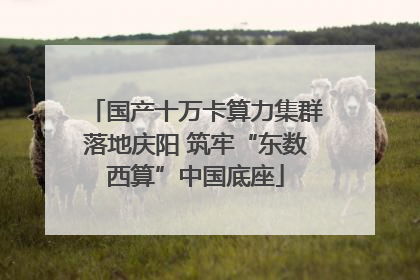 国产十万卡算力集群落地庆阳 筑牢“东数西算”中国底座
