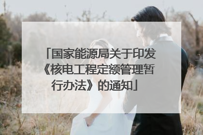 国家能源局关于印发《核电工程定额管理暂行办法》的通知