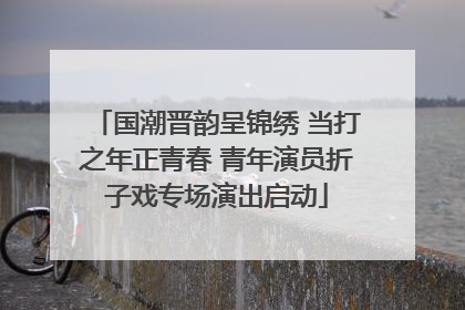 国潮晋韵呈锦绣 当打之年正青春 青年演员折子戏专场演出启动