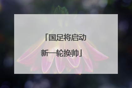 国足将启动新一轮换帅