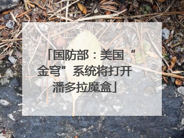 国防部：美国“金穹”系统将打开潘多拉魔盒