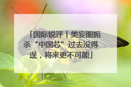 国际锐评丨美妄图扼杀“中国芯”过去没得逞，将来更不可能