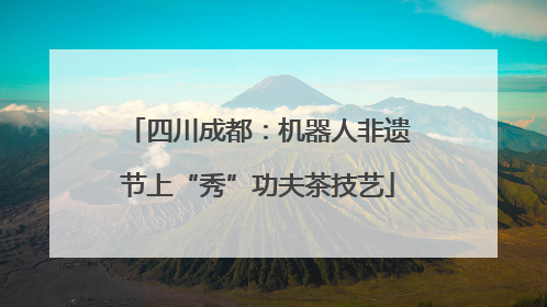 四川成都：机器人非遗节上“秀”功夫茶技艺