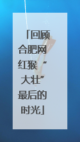 回顾合肥网红猴“大壮”最后的时光