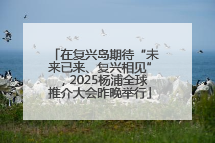 在复兴岛期待“未来已来、复兴相见”，2025杨浦全球推介大会昨晚举行