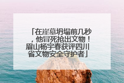 在崖墓坍塌前几秒，他冒死抢出文物！眉山杨宇春获评四川省文物安全守护者