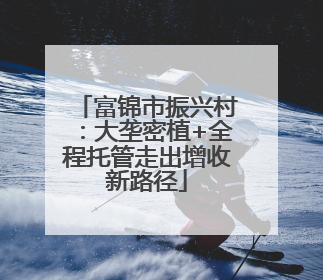 富锦市振兴村：大垄密植+全程托管走出增收新路径