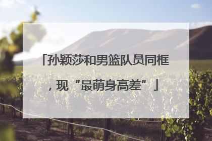 孙颖莎和男篮队员同框，现“最萌身高差”